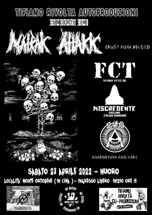 Concerto autogestito punk