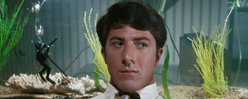 IL LAUREATO: Proiezione e discussione del film